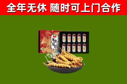 吉林回收冬虫夏草价格